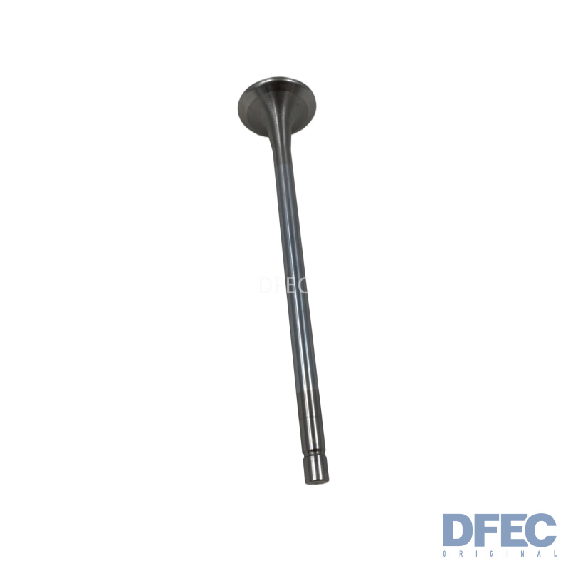 M11 ISM11 QSM11 Впускной клапан двигателя 4926069